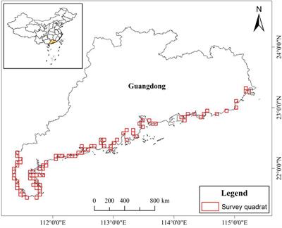 Factors Driving the Abundance of Wintering Waterbirds in Coastal Areas of Guangdong Province, China